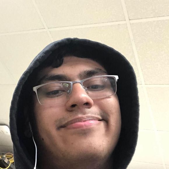 Meet your Posher, Tatum - Picture 1 of 1